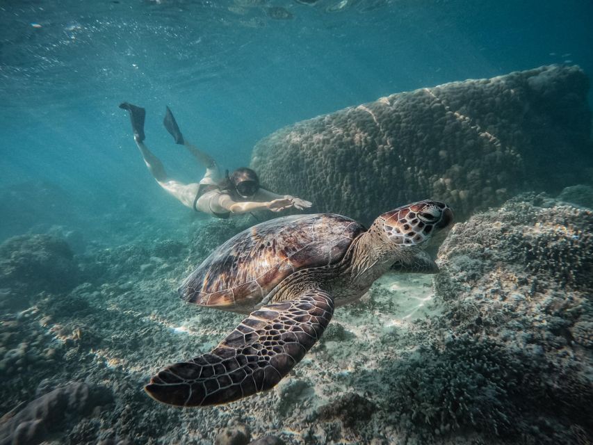 Gili Islands: Group or Private Snorkeling Tour with GoPro - Gili Meno snorkeling: coral, fish, and the first big wildlife moment