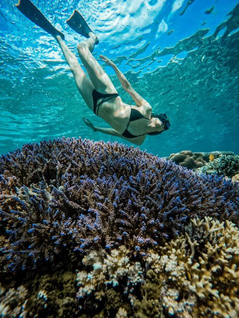 Gili Islands: Group or Private Snorkeling Tour with GoPro - Price and value: why $14 can work if you manage expectations