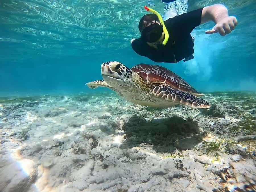 Gili Islands: Private Snorkeling Boat Tour with Local Guide - Why This Private Gili Snorkeling Route Feels More Like Your Day