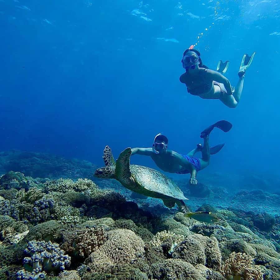 Gili Islands: Private Snorkeling Boat Tour with Local Guide - Snorkeling with Local Help: How the Guide Keeps It Safe and Fun