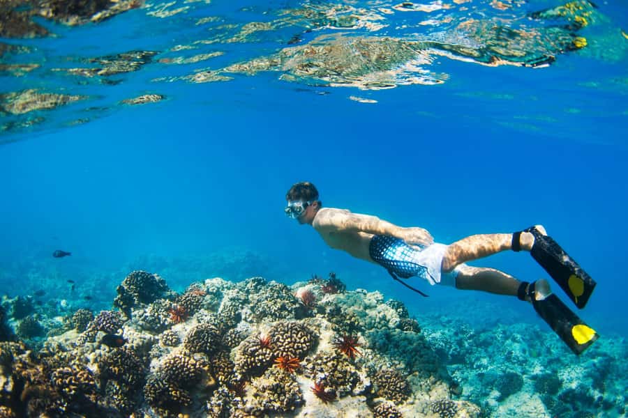 Gili Islands: Underwater Statues Cruise and Snorkeling - Key Points You Will Actually Care About