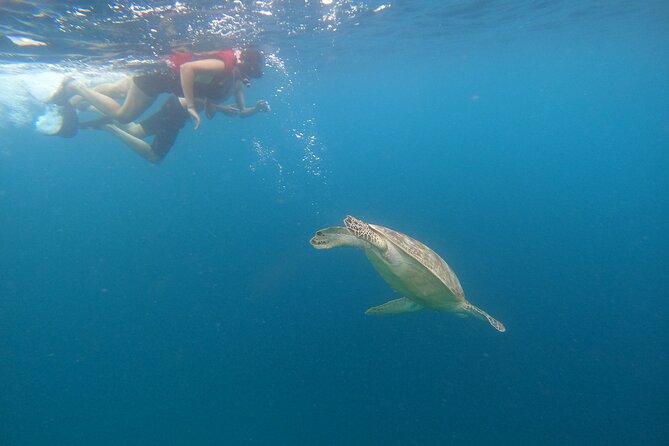 Gili Trawangan & Gili Air Snorkeling Tour Turtles & Statue - Stop 3: Gili Meno Underwater Statue, Photo Moment With Etiquette