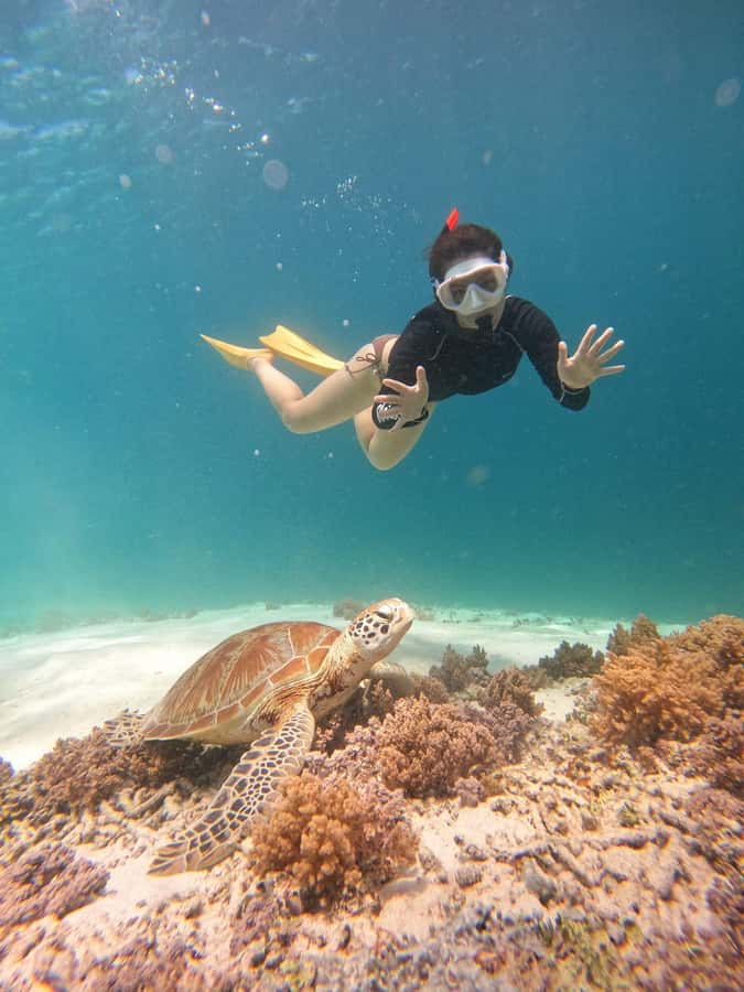 Gili Trawangan: Gili Islands Sunset Boat Tour and Snorkeling - Stop 3: Fish and Reef Time at the Final Gili Snorkel Spot