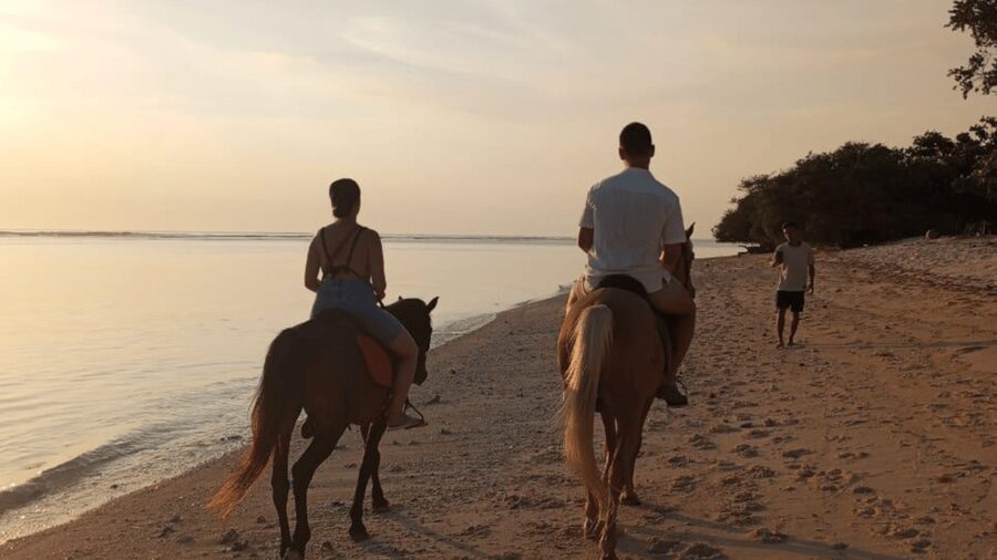Gili Trawangan: Horse Riding on the Beach - Price and value: is $30 per person fair?