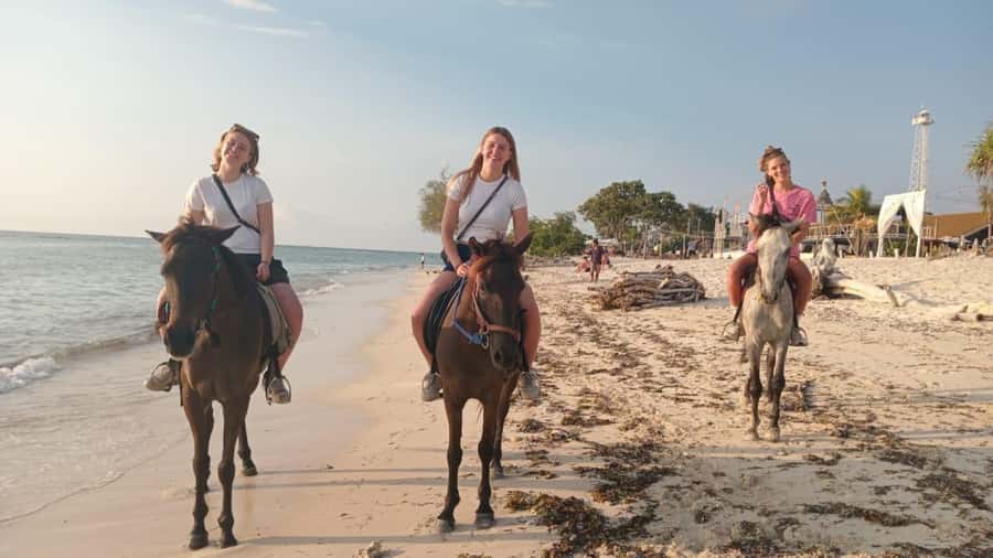 Gili Trawangan: Horse Riding on the Beach - Timing, group size, and why the ride feels flexible