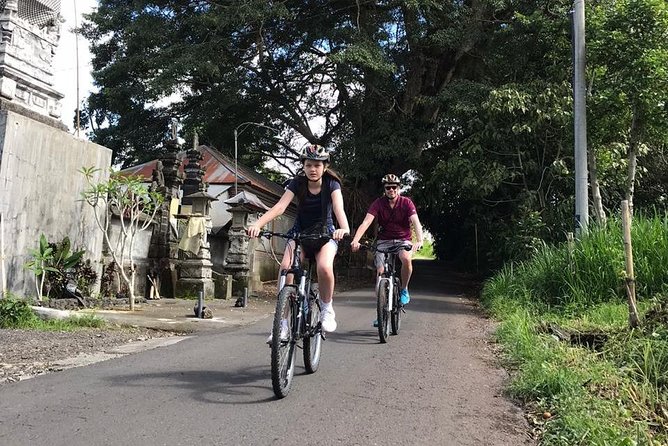 Half Day Cycling Tour ( Manual Bike ) - Guides, safety, and how the small-group setup helps