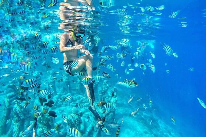 Half-Day Private Guided Snorkeling Turtles Underwater Statues - Key things I’d circle before you book