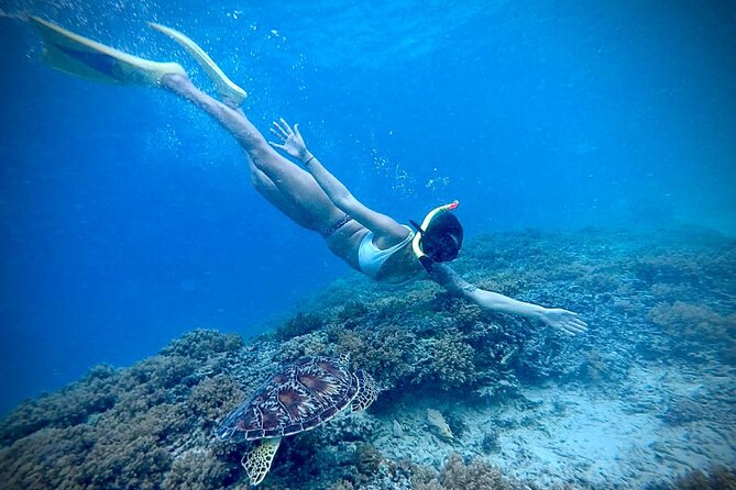Half-Day Private Guided Snorkeling Turtles Underwater Statues - The guides: what “private” really changes (and who you might meet)