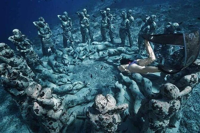 Half-Day Private Guided Snorkeling Turtles Underwater Statues - Gear and add-ons: what you get for $85