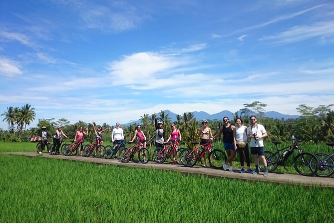 Half-Day Ubud Electric Cycling Tour to Tirta Empul Water Temple - Trading Traffic for Rice Paddies and Village Lanes