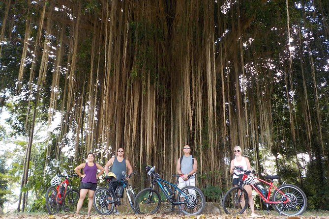 Half-Day Ubud Electric Cycling Tour to Tirta Empul Water Temple - Lunch at Pangkon Bali Resto and Agrotourism: Fuel for the Afternoon