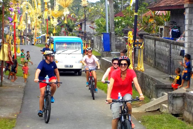 Half-Day Ubud Electric Cycling Tour to Tirta Empul Water Temple - Price and Value: What $49 Buys You in Real Terms