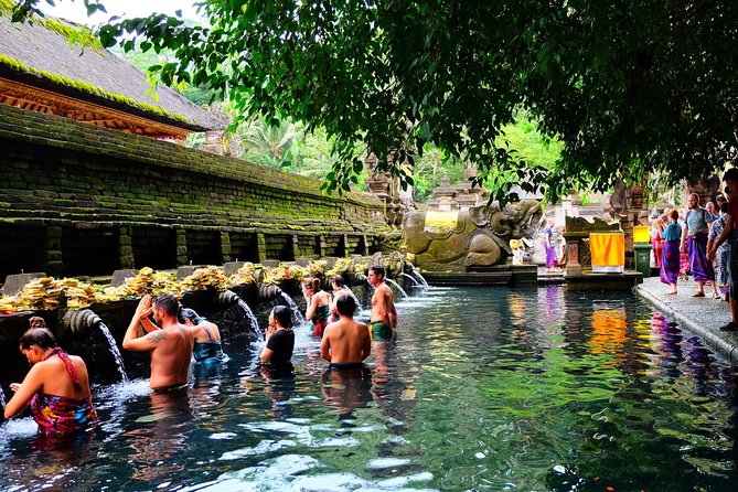 Half-Day Ubud Electric Cycling Tour to Tirta Empul Water Temple - Who Should Book This E-bike to Tirta Empul