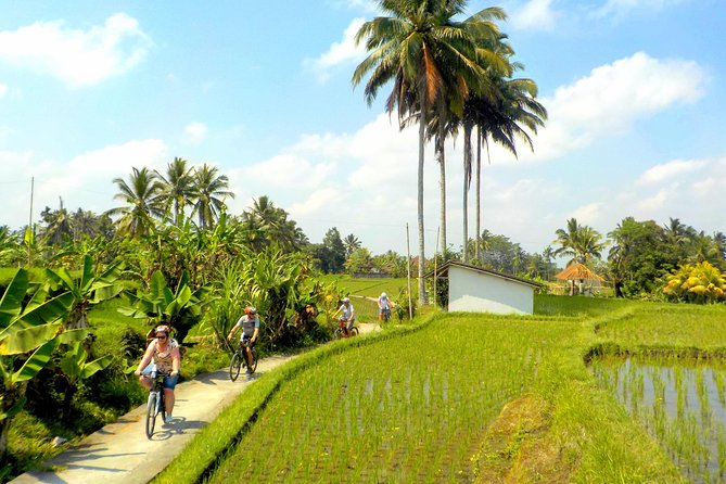 Half-Day Ubud Electric Cycling Tour to Tirta Empul Water Temple - Tips for a Comfortable Ride in Bali Heat