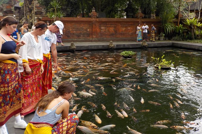 Half-Day Ubud Electric Cycling Tour to Tirta Empul Water Temple - Tirta Empul Water Temple: Purification Springs and Ticket Included