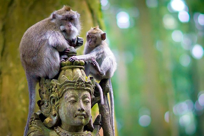 Half Day Ubud Tour: Ubud Unique Spots - Included Stuff That Really Changes Your Day: Pickup, Bottled Water, Beer, and Entrance Fees