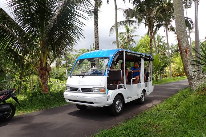 Half Day Ubud Waterfall Tour - Why this Half Day Ubud Waterfall Tour feels like more than 4 hours