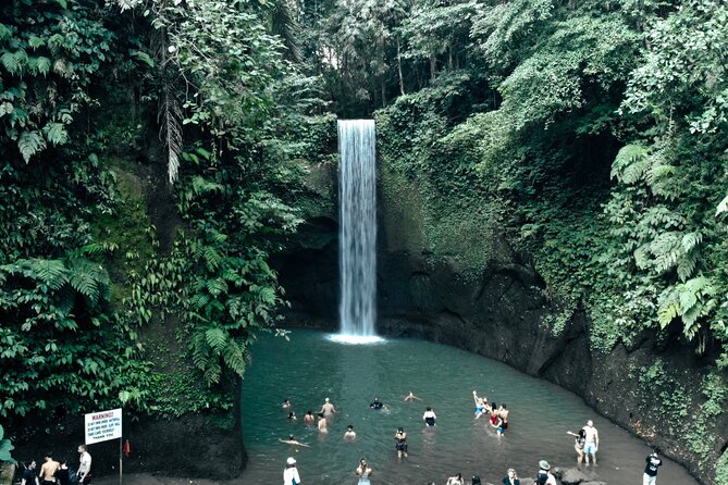 Half Day Ubud Waterfall Tour - Stop 2: Taman Sari Waterfall and Natural Pool for the “cool off” moment