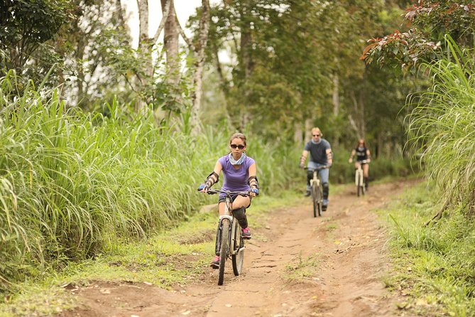 Haunted Valley Waterfall ATV and Bike Tour - From Ubud Hotel Pickup to Munduk Trails, the 5-Hour Reality Check