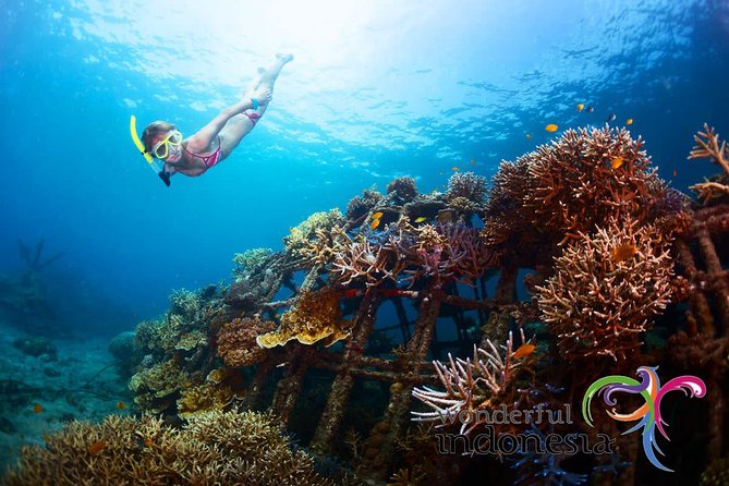 Have fun 1 day in Nusa Penida: snorkeling, kelingking & broken beach incl lunch - Key things to know before you go