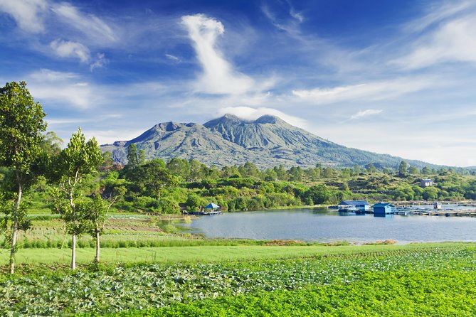 Highlights of Ubud & Mount Batur Volcano - Private Day Trip - Why This Ubud and Mount Batur Private Day Trip Makes Sense