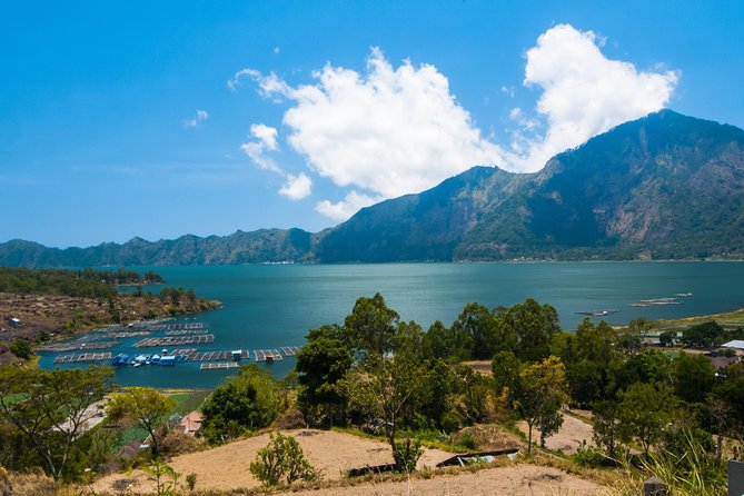 Highlights of Ubud & Mount Batur Volcano - Private Day Trip - Sacred Monkey Forest Sanctuary: See Macaques Up Close Without Turning It Into Chaos