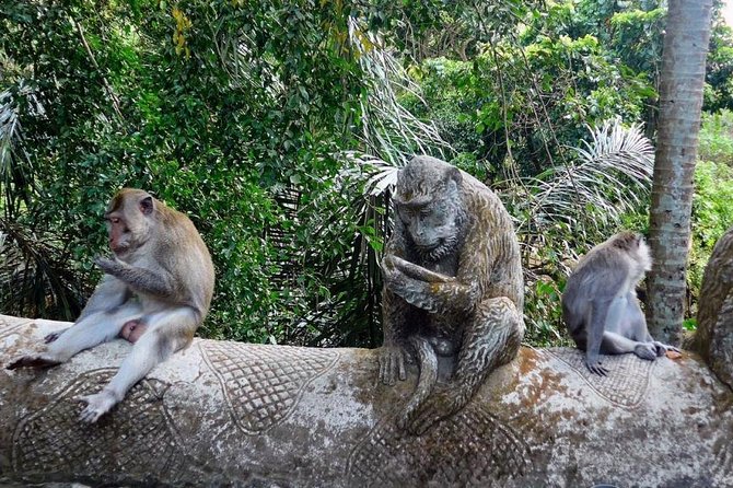 Hire Bali Driver for 10-hour (Bali as You Please) - How to build your 10 hours: pick a theme, not a wish list