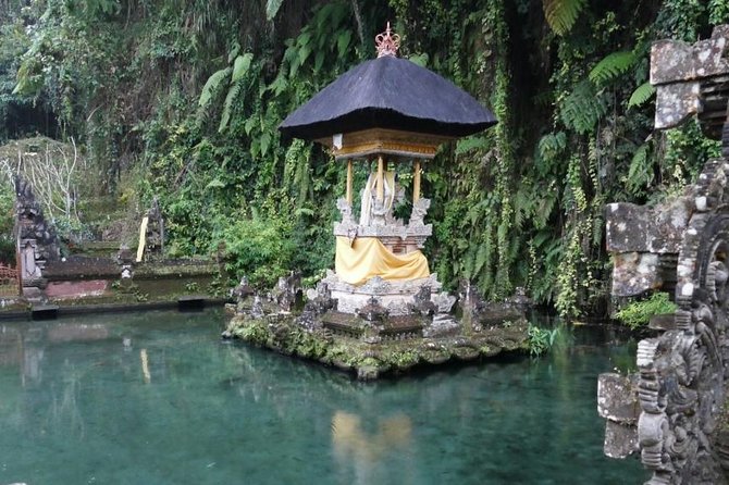 Hire Bali Driver for 10-hour (Bali as You Please) - Waterfalls with different moods: Tegenungan and Tukad Cepung