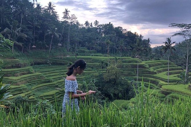 Hire Bali Driver for 10-hour (Bali as You Please) - Rice terraces and UNESCO scenery: Tegalalang and Jatiluwih