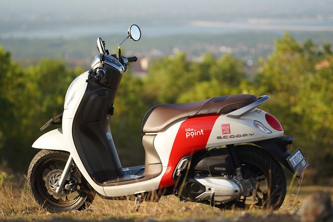 Honda Scoopy Rental in Bali - Key points worth clocking before you book