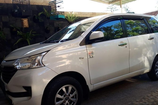 Individual Bali Day Trip with Private Driver and Free WiFi - Central Bali Stops: Markets, Rice Terraces, Tirta Empul, and Monkey Time