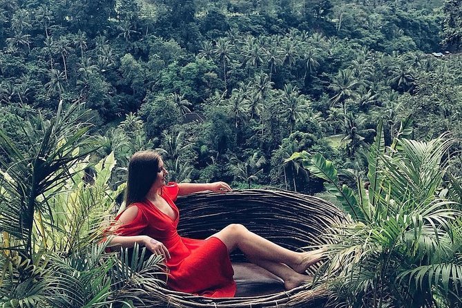 Individual Bali Day Trip with Private Driver and Free WiFi - East and North Bali Options: Water Palaces, Rice Terraces, and Big Viewpoints