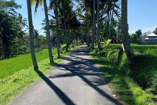 Individual Bali Day Trip with Private Driver and Free WiFi - Photo Stops Need Time Budgeting, Not Just Good Weather