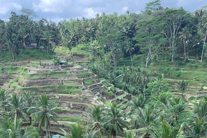 Individual Bali Day Trip with Private Driver and Free WiFi - Gate of Heaven Timing Tip: Start Early or Expect Waiting