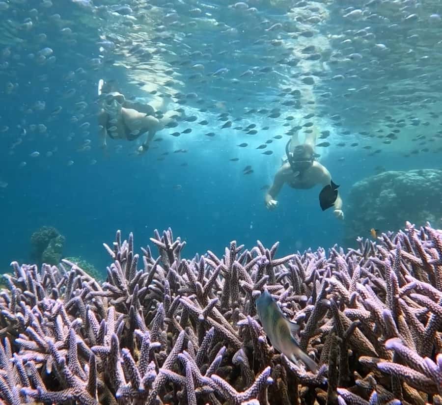 Island Hopping Gili Asahan, Gede, Rengit, Layar & Goleng - Gili Layar: the fish-spot stop, then lunch that actually fuels you