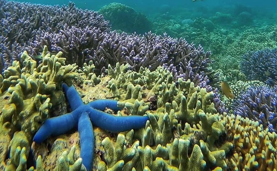 Island Hopping Gili Asahan, Gede, Rengit, Layar & Goleng - Gili Goleng: photo stop, free time, and swimming on an emptier-feeling island