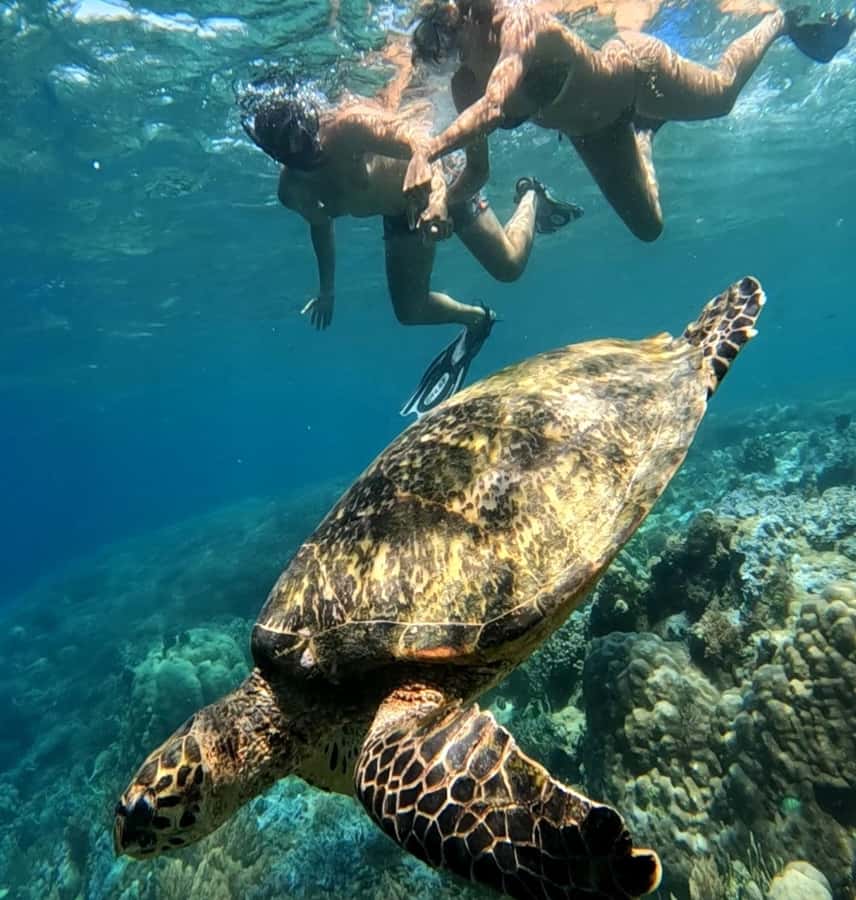 Island Hopping Gili Asahan, Gede, Rengit, Layar & Goleng - Who this tour suits best (and who should reconsider)