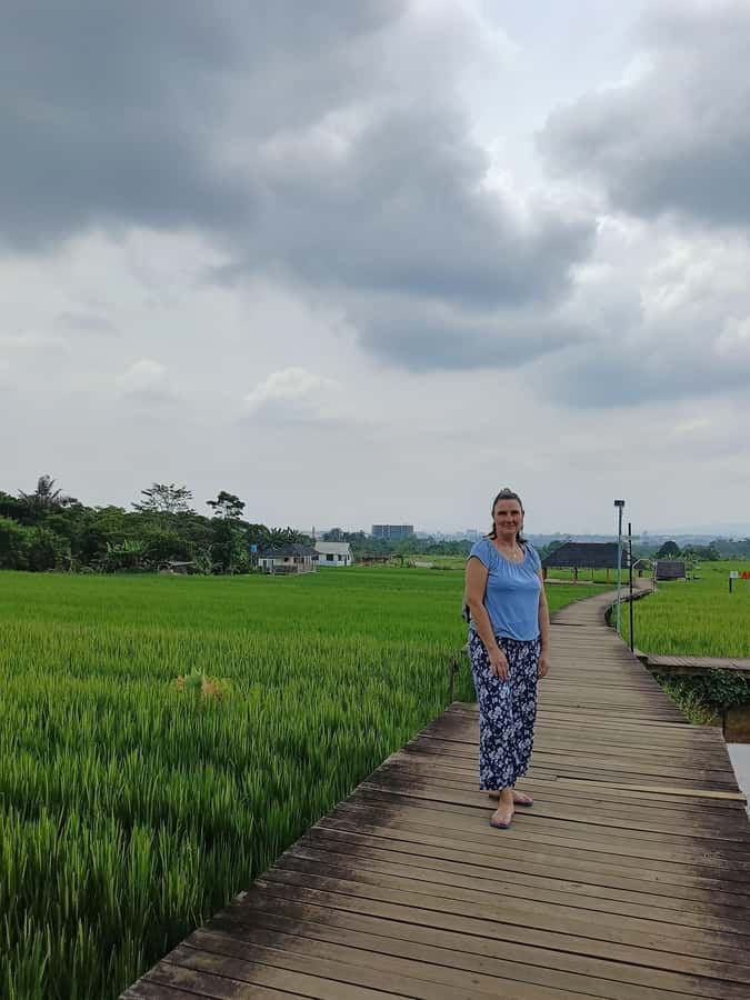 Jakarta Bogor Botanical Garden, Waterfall and Rice Terrace - Mulyaharja Organic Rice Terrace: Coffee, Lunch by the Fields, and Mount Salak Views