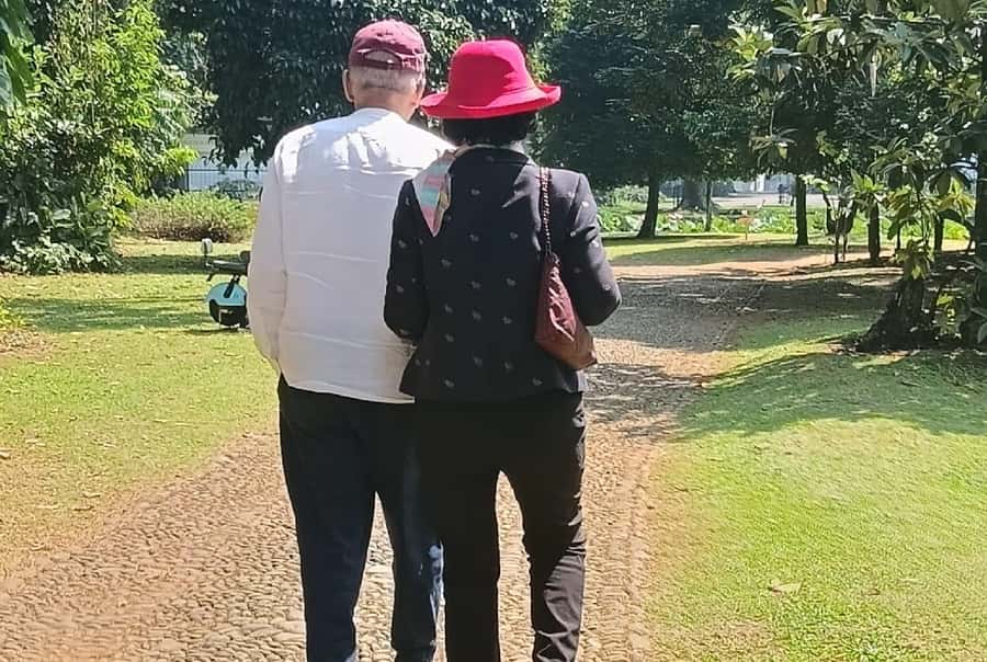 Jakarta Bogor Botanical Garden, Waterfall and Rice Terrace - How the Private Route Handles Jakarta Traffic Without Turning Your Day into Chaos