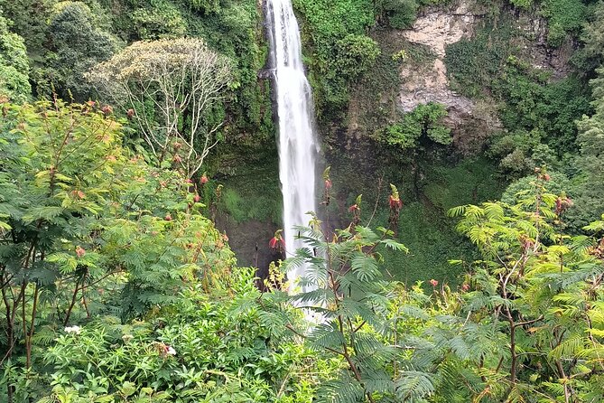 Jakarta Bogor Botanical Garden, Waterfall and Rice terrace, Lunch - The real draw, Bogor’s cooler air plus a proper waterfall hike