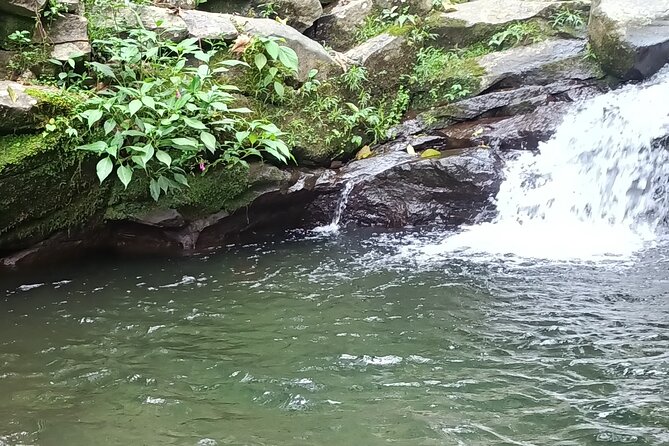 Jakarta Bogor Botanical Garden, Waterfall and Rice terrace, Lunch - Gumati lunch with a Salak mountain view