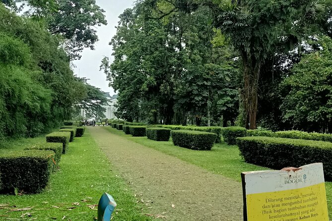 Jakarta Bogor Botanical Garden, Waterfall and Rice terrace, Lunch - Price and what $95 buys you (and what it does not)