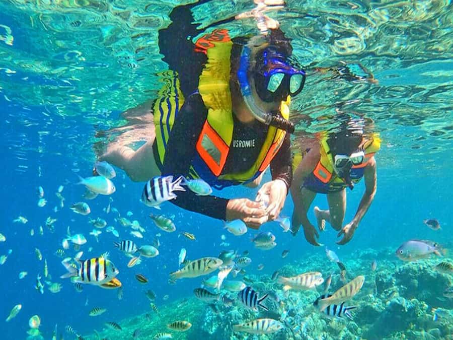 Jakarta: Thousand Island Tour with Canoeing and Snorkeling - Lunch on the islands: simple, included, and time-aware