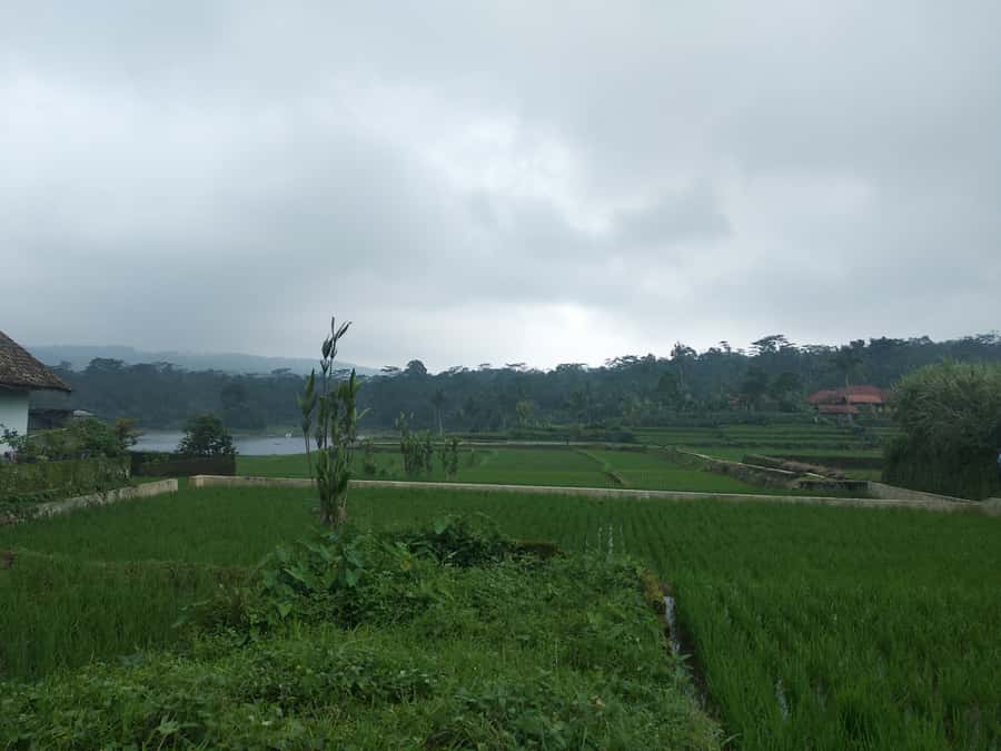 Jakarta: Volcano, Hot Spring, Tea, Rice Fields, &Coffee tour - Jakarta to Bandung logistics: the long day, handled