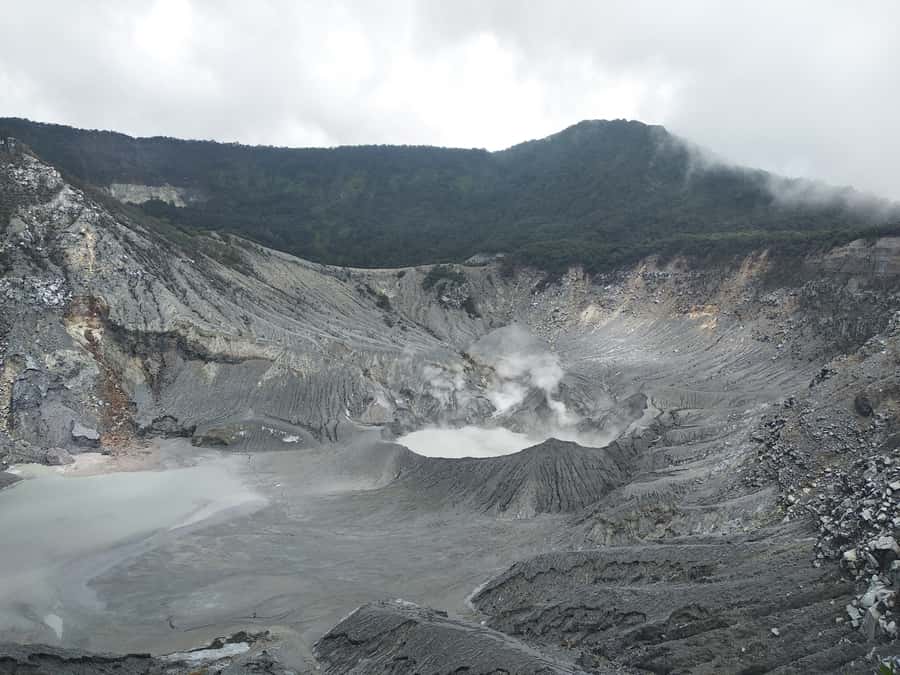 Jakarta: Volcano, Hot Spring, Tea, Rice Fields, &Coffee tour - Tangkuban Perahu crater walk: when the sulfur is real