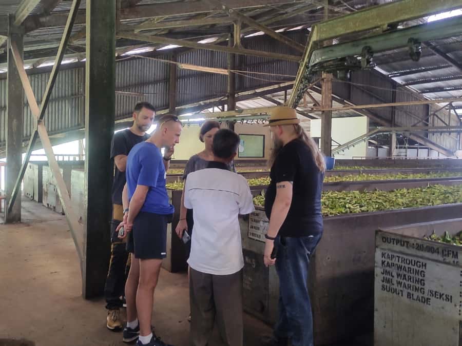 Jakarta: Volcano, Hot Spring, Tea, Rice Fields, &Coffee tour - Sari Ater Hot Spring: warm feet after sulfur air