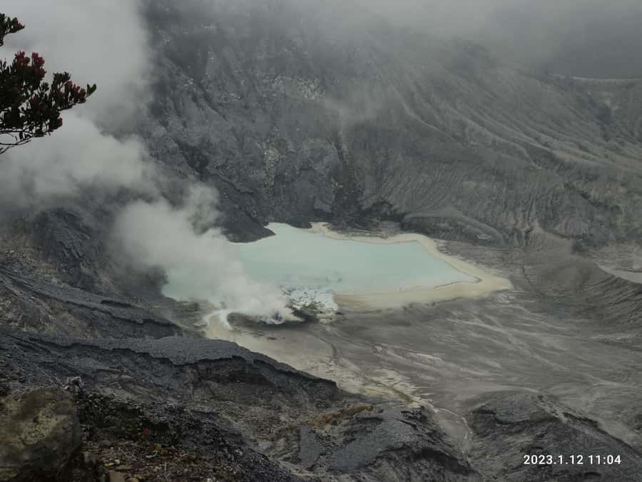 Jakarta: Volcano, Hot Spring, Tea, Rice Fields, &Coffee tour - Price and value: what your $128 covers