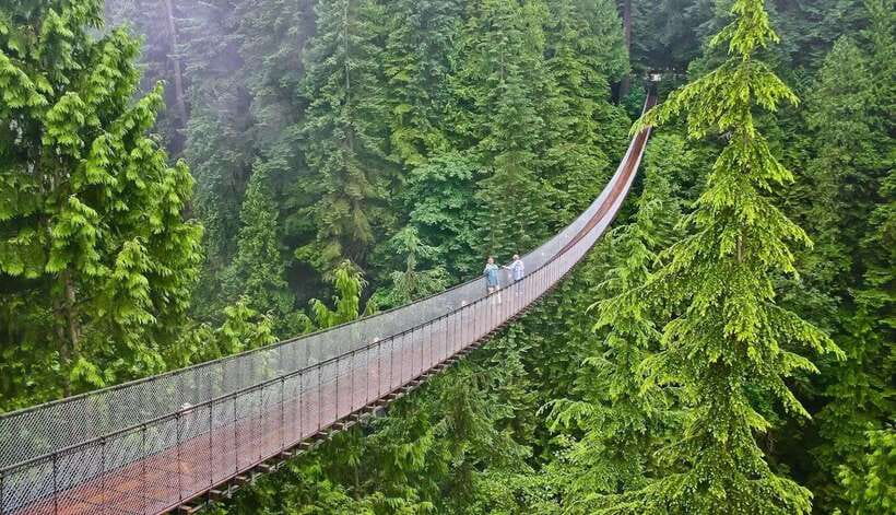 Jakarta: Volcano, Suspension Bridge, and Hot Spring Tour - Kawah Putih Crater Lake: Getting the Most From a Guided Hour