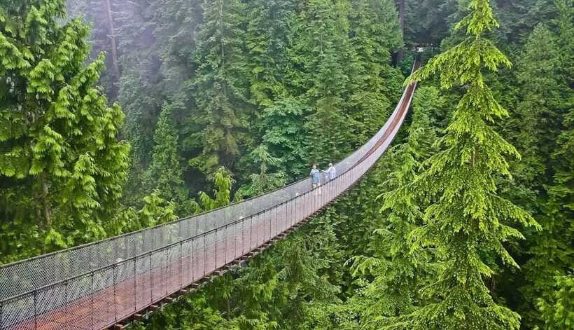 Jakarta: Volcano, Suspension Bridge, and Hot Spring Tour - Rengganis Ciwidey Stops: Bridge Walk, Hot Springs, and Tea Plantation Time