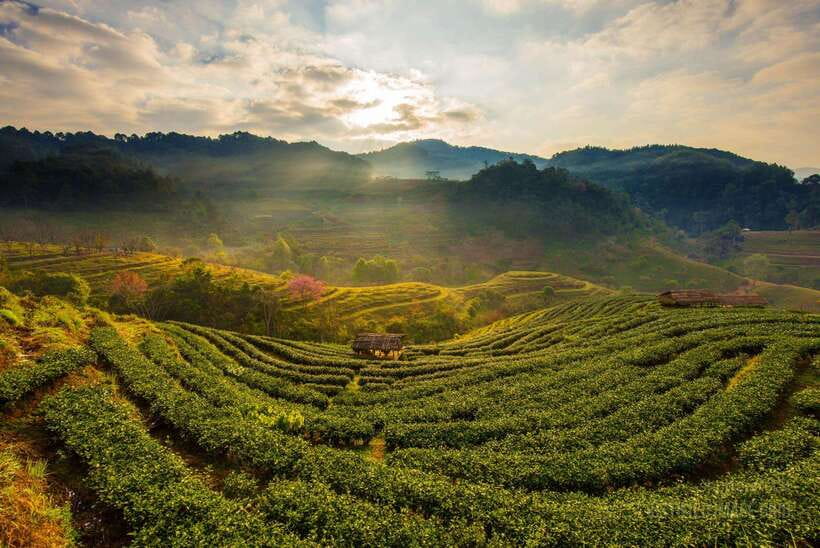 Jakarta: Volcano, Suspension Bridge, and Hot Spring Tour - Small Group Touring With an English Guide, Plus Serious Photo Help